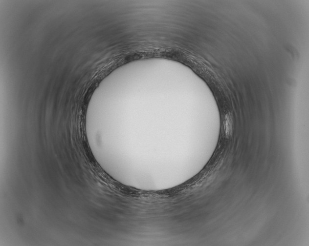 X0000113061059200908280942