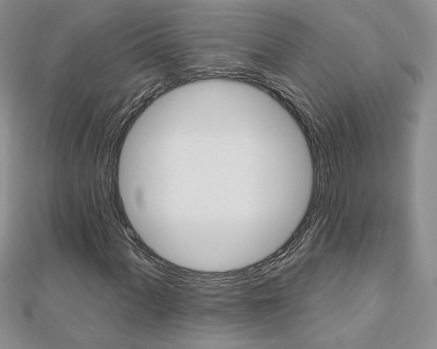 X0000113061060200908280942
