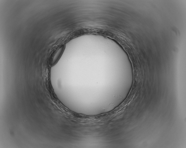 X0000113061061200908280942
