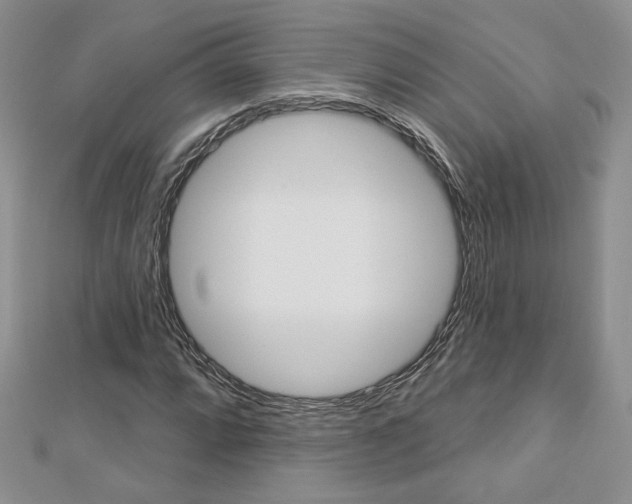 X0000113061064200908280942