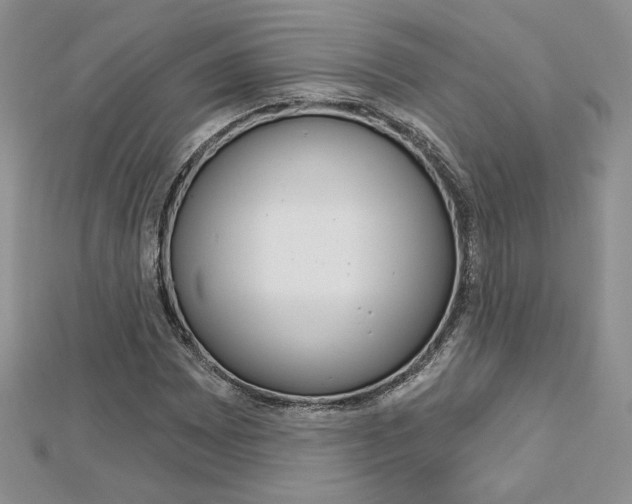 X0000113061065200908280942