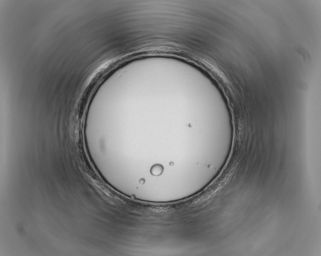 X0000113061067200908280942