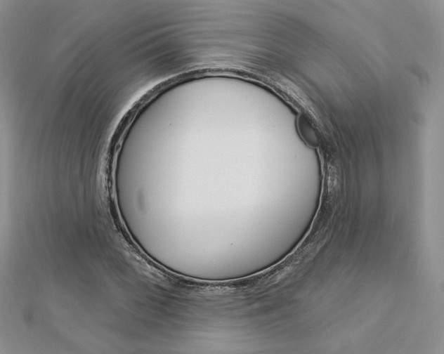 X0000113061068200908280942