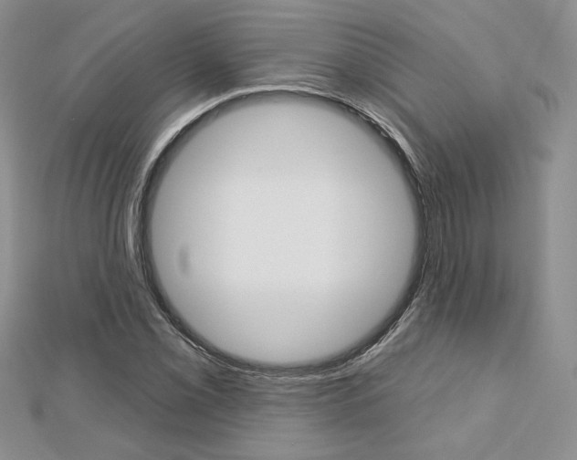 X0000113061069200908280942