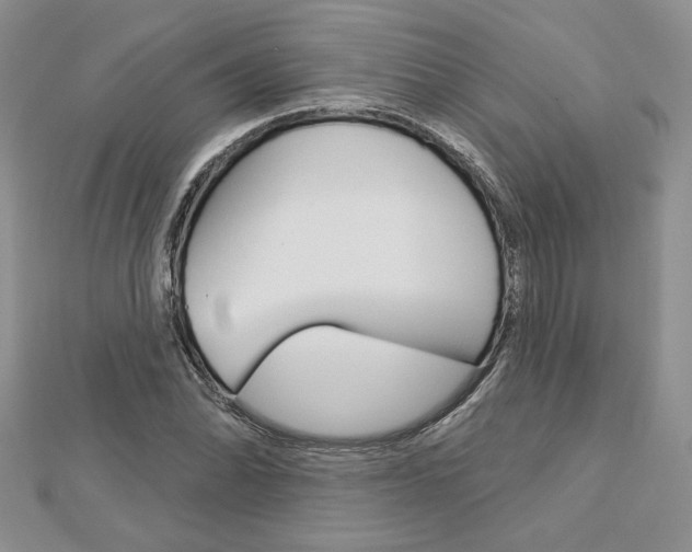 X0000113061070200908280942