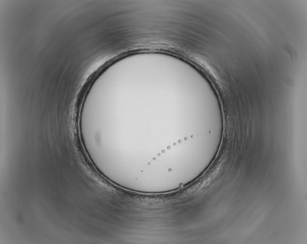 X0000113061071200908280942