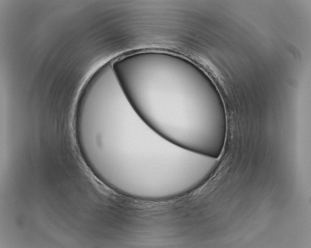 X0000113061072200908280942