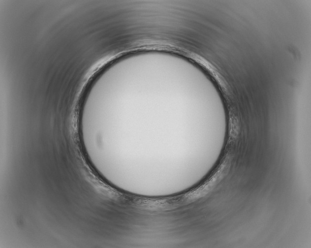 X0000113061074200908280942