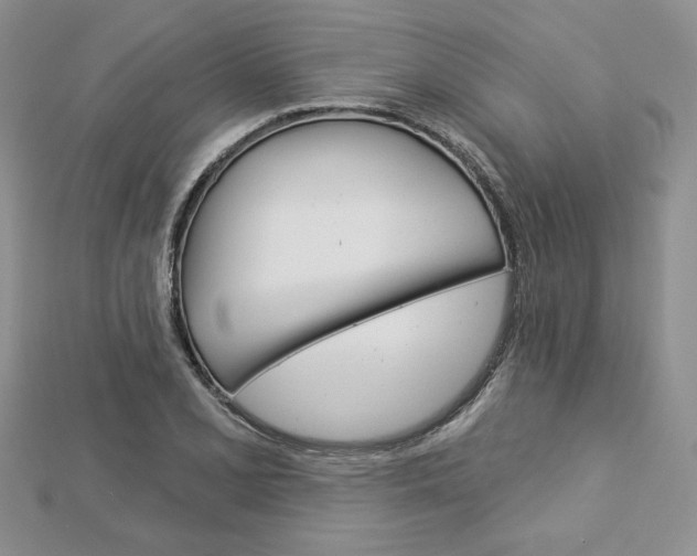 X0000113061077200908280942