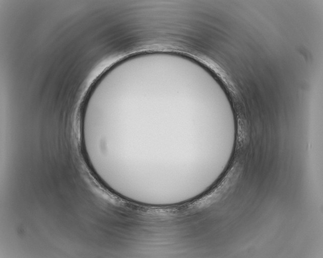 X0000113061078200908280942