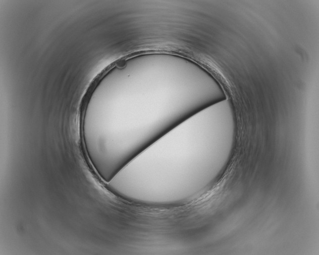 X0000113061079200908280942
