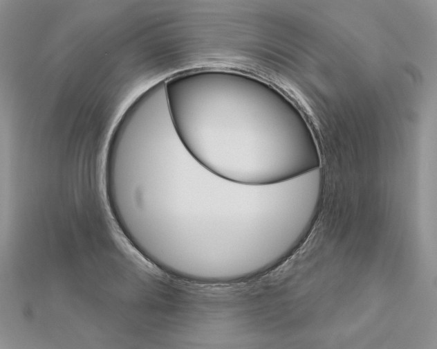 X0000113061080200908280942