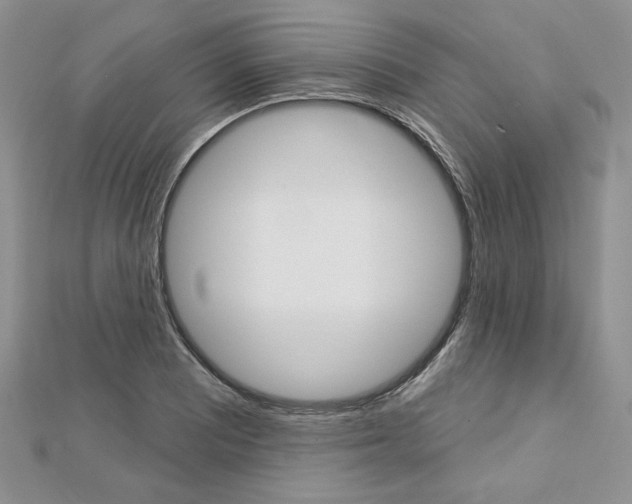 X0000113061081200908280942