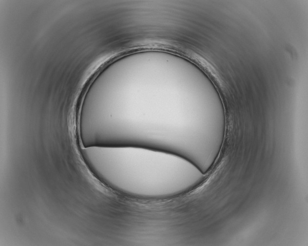 X0000113061082200908280942