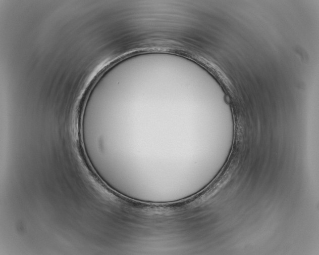 X0000113061083200908280942