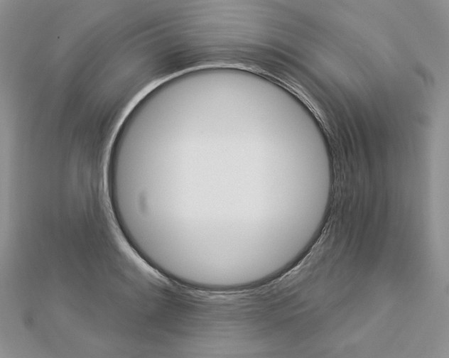 X0000113061084200908280942