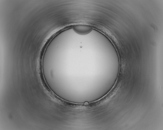 X0000113061085200908280942