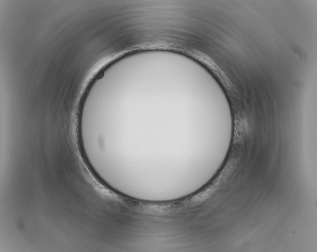 X0000113061086200908280942