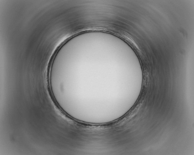 X0000113061087200908280942
