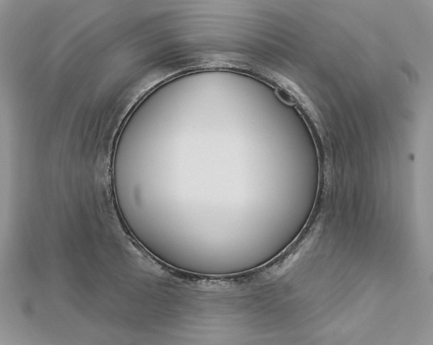 X0000113061089200908280942