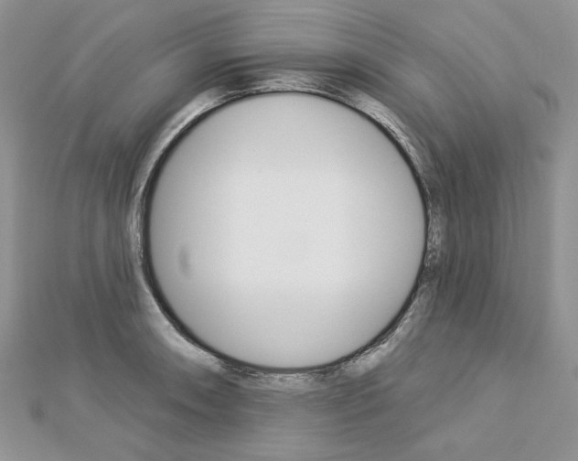X0000113061090200908280942