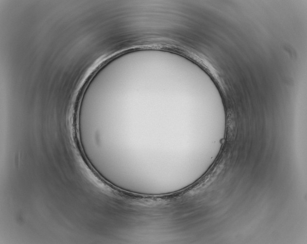 X0000113061091200908280942