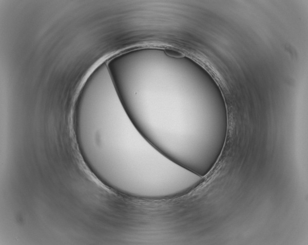 X0000113061092200908280942