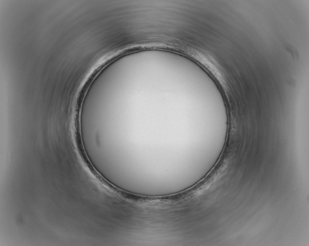 X0000113061093200908280942