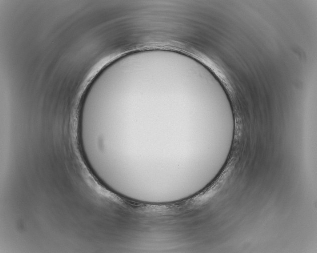 X0000113061094200908280942