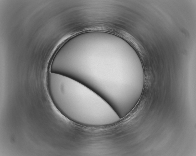 X0000113061095200908280942