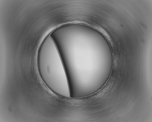 X0000113061096200908280942