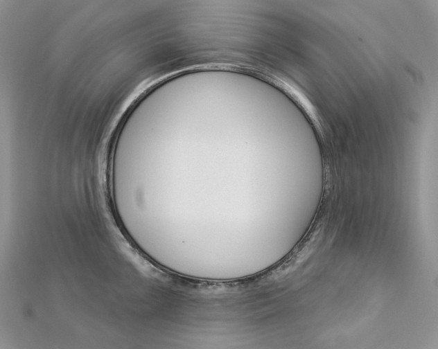 X0000113061099200908280942