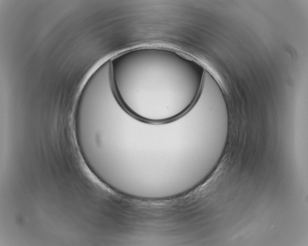 X0000113061100200908280942