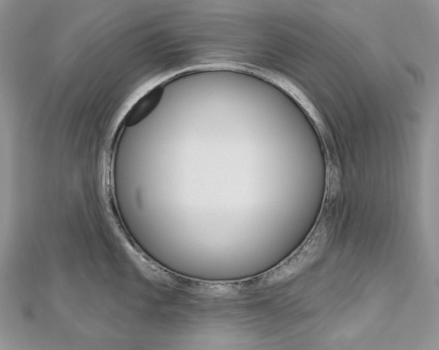 X0000113061101200908280942