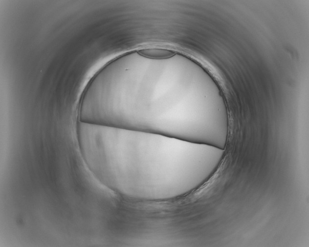 X0000113061102200908280942