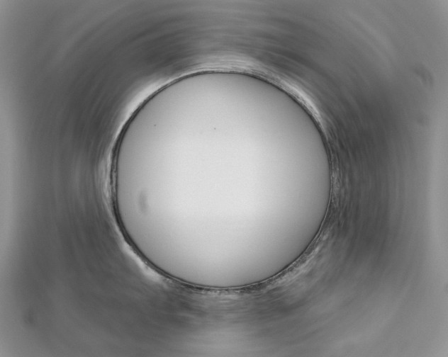 X0000113061103200908280942