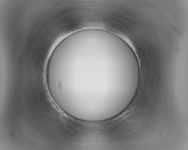 X0000113061104200908280942