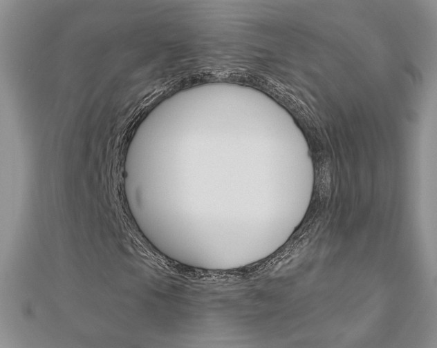 X0000113061105200908280941