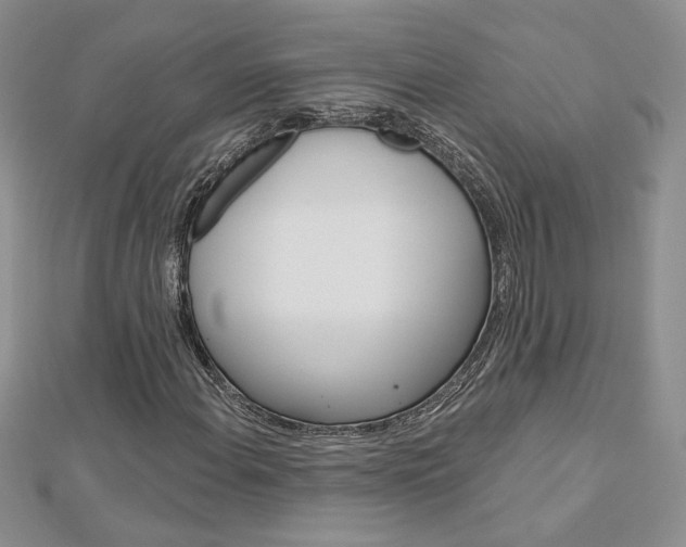 X0000113061108200908280941