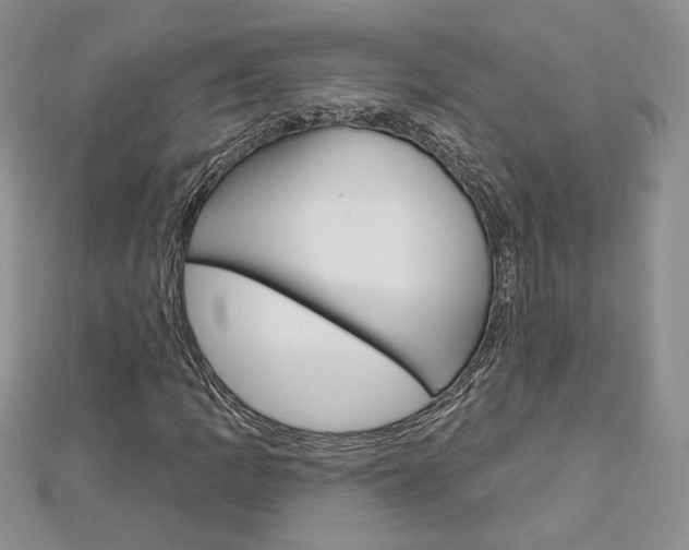 X0000113061109200908280941