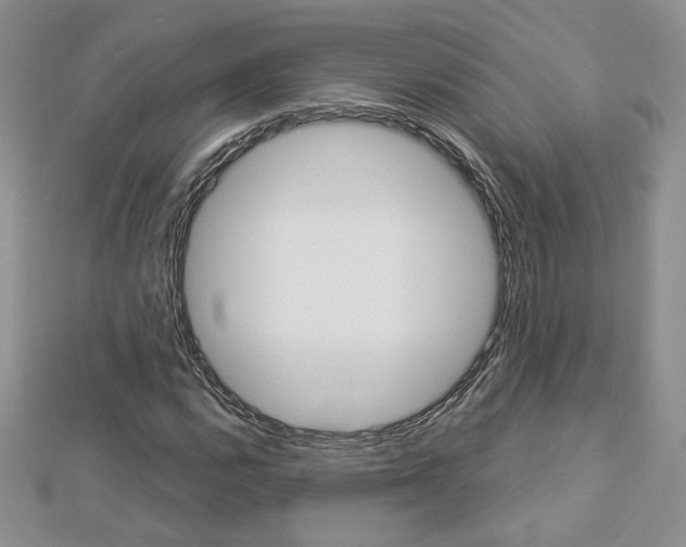 X0000113061112200908280941
