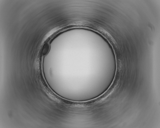 X0000113061114200908280941