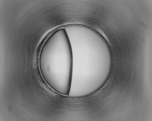 X0000113061116200908280941