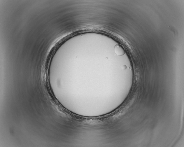 X0000113061117200908280941