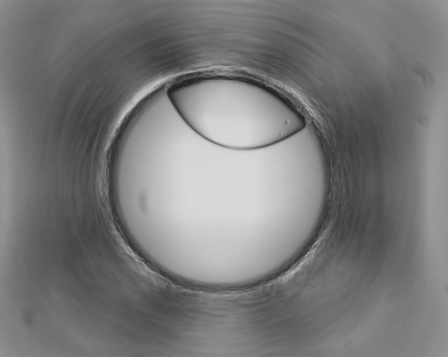 X0000113061118200908280941