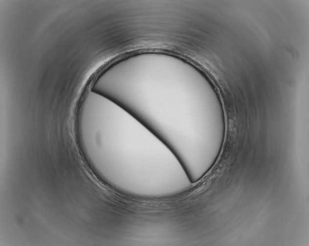 X0000113061119200908280941