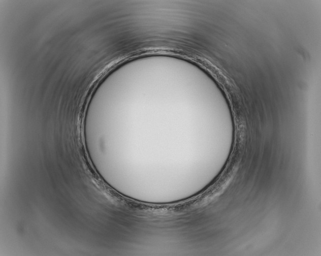 X0000113061121200908280941