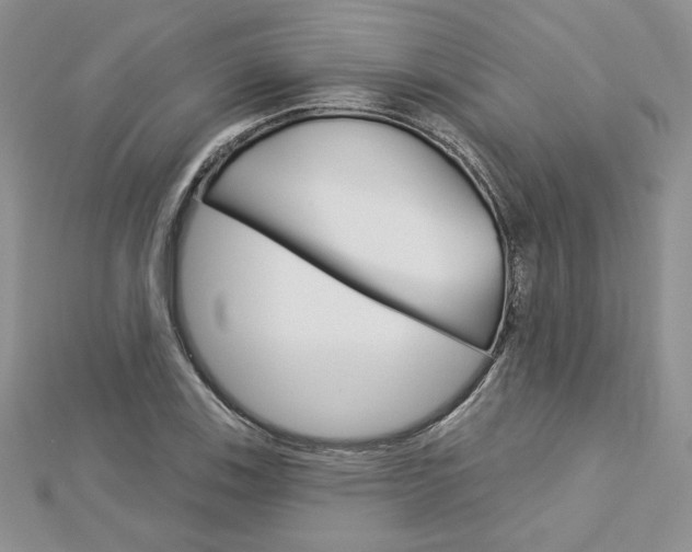 X0000113061123200908280941