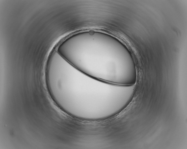 X0000113061124200908280941