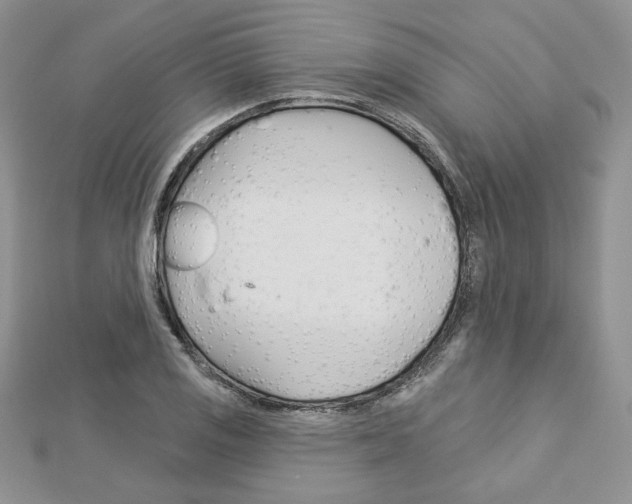 X0000113061125200908280941